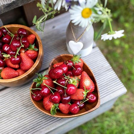 Glamping Health Resort 卡姆尼克 外观 照片