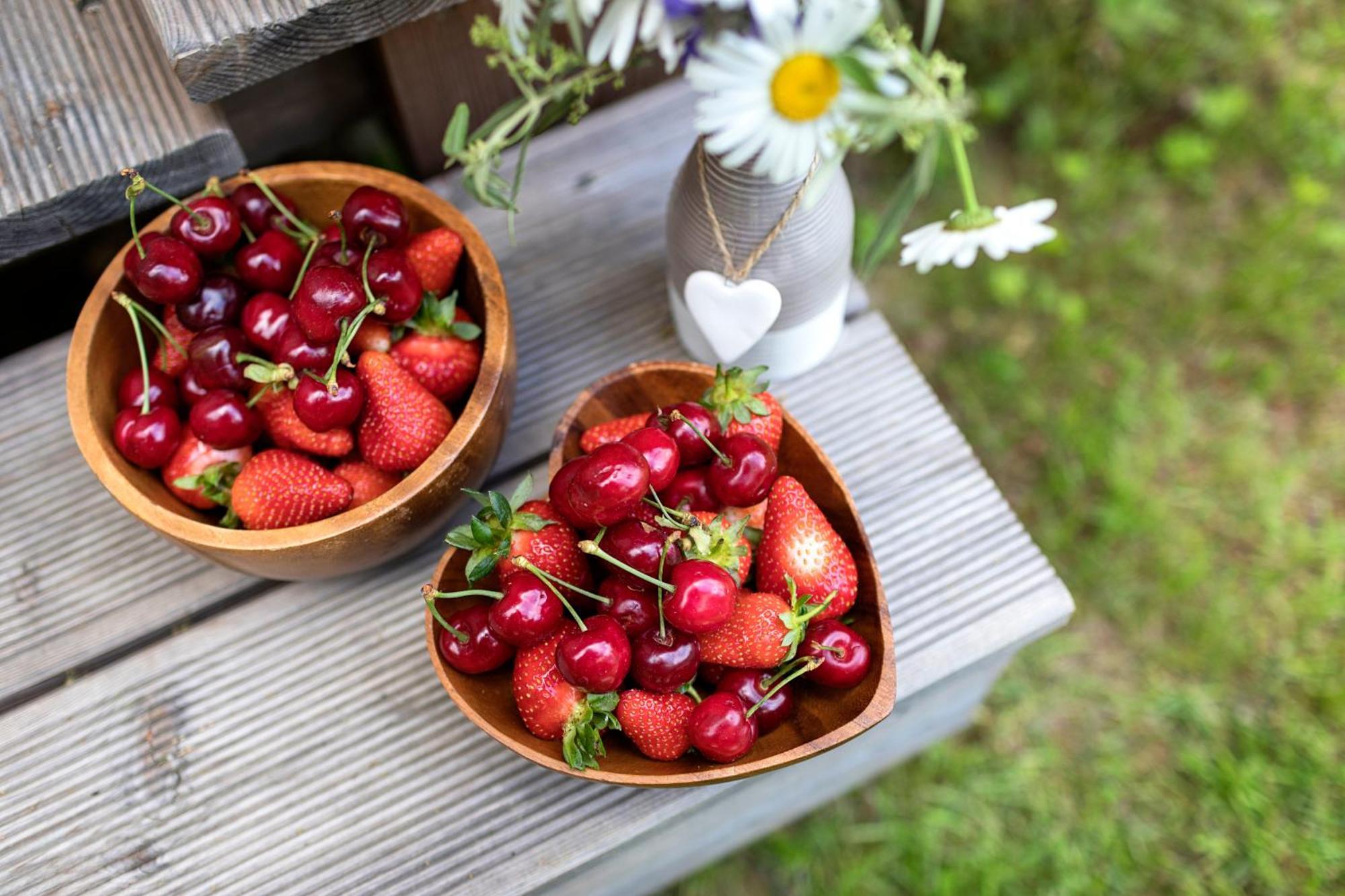 Glamping Health Resort 卡姆尼克 外观 照片
